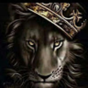 Meet your Posher, Maurice